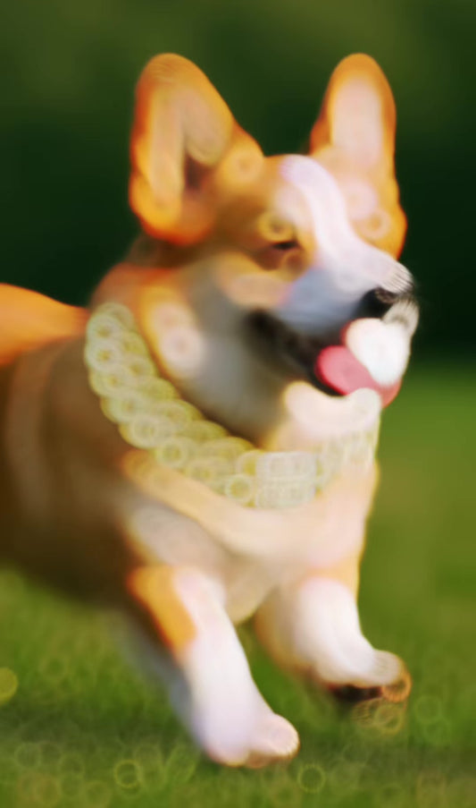 Luxury Cuban Link Chain Collar for Pets